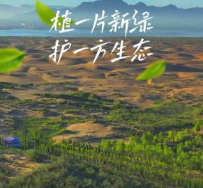 “十五五”期间江苏计划造林绿化50万亩 